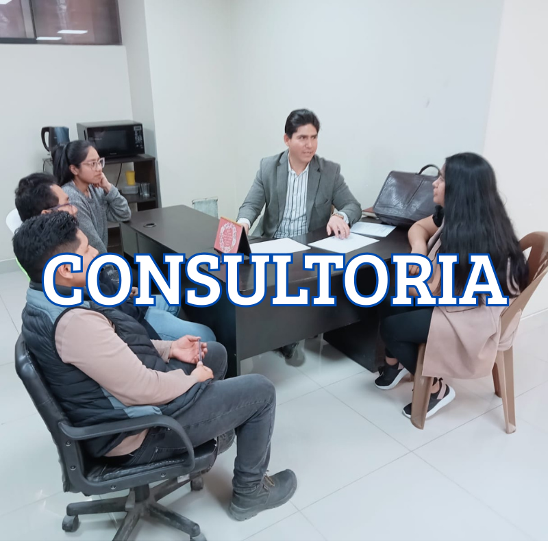 1. consultoria